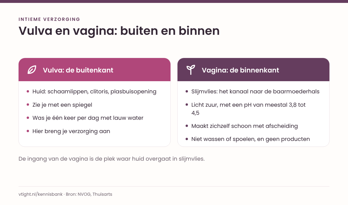Twee kolommen die de vulva en de vagina vergelijken: wat het is, waar het zit, hoe het schoon blijft en hoe je het verzorgt.